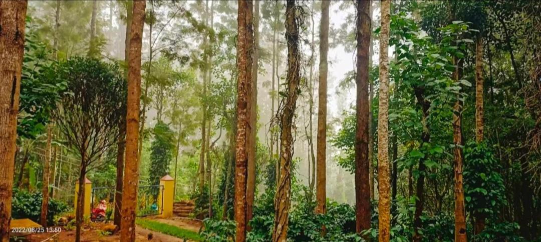 Sp Resort Inn Yercaud Exterior photo
